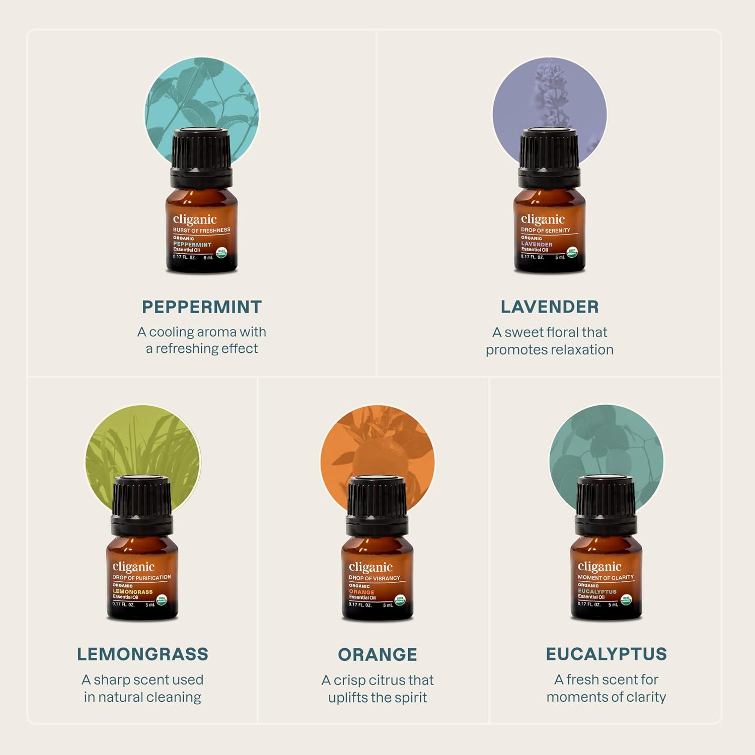 Pure Classics Essential Oils Set