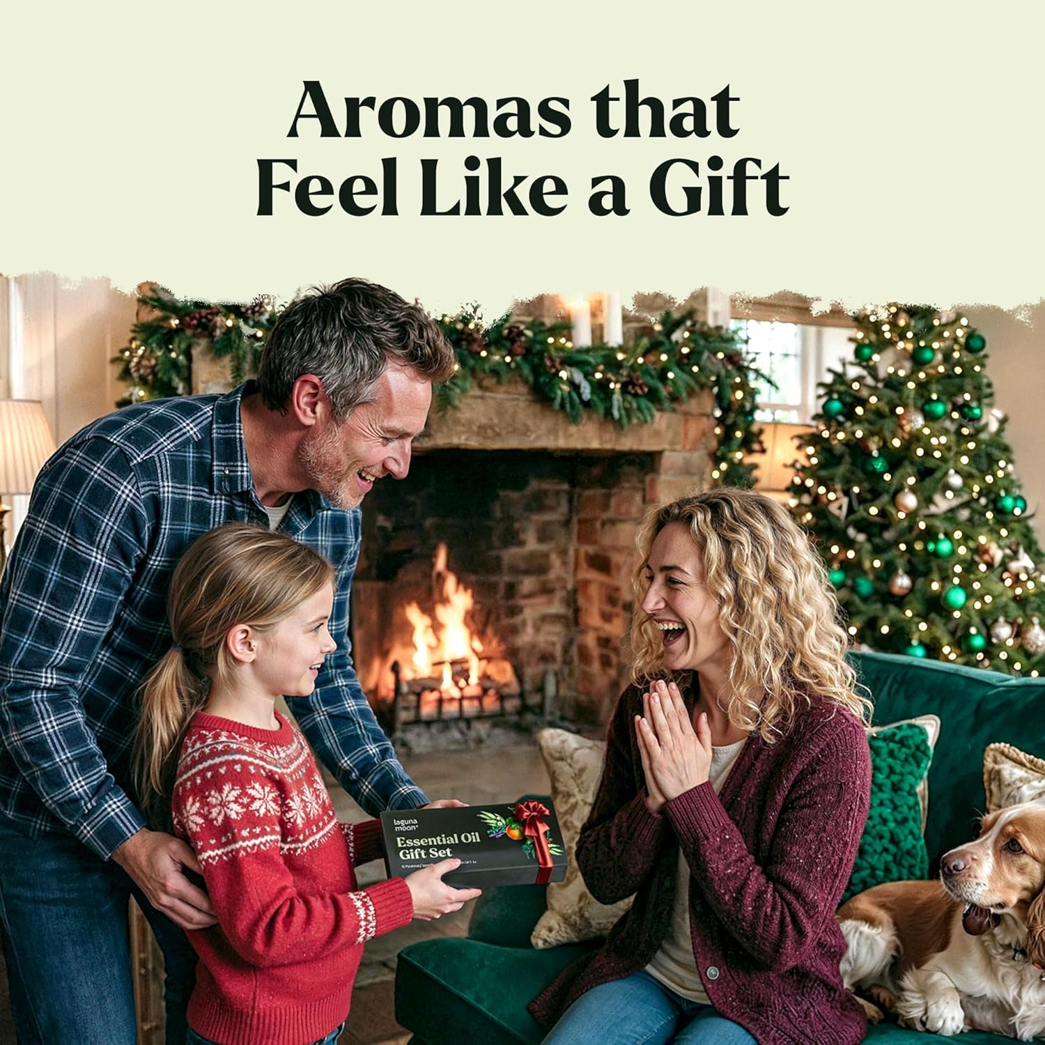 Holiday Essential Oil Kit