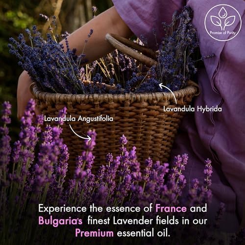 CalmCraft Natural Lavender Oil Blend