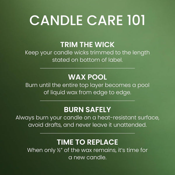 Balsam Cedar Holiday Jar Candle