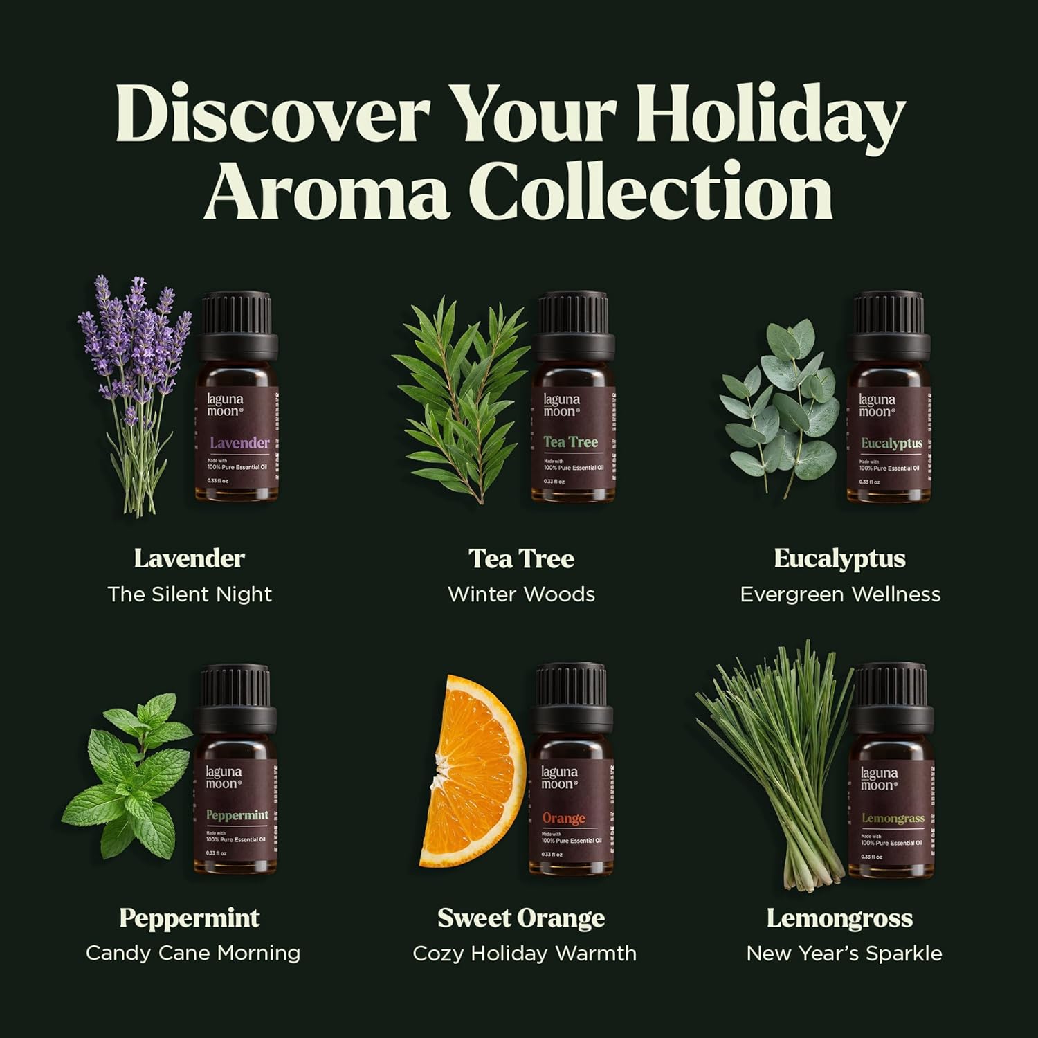 Holiday Essential Oil Kit