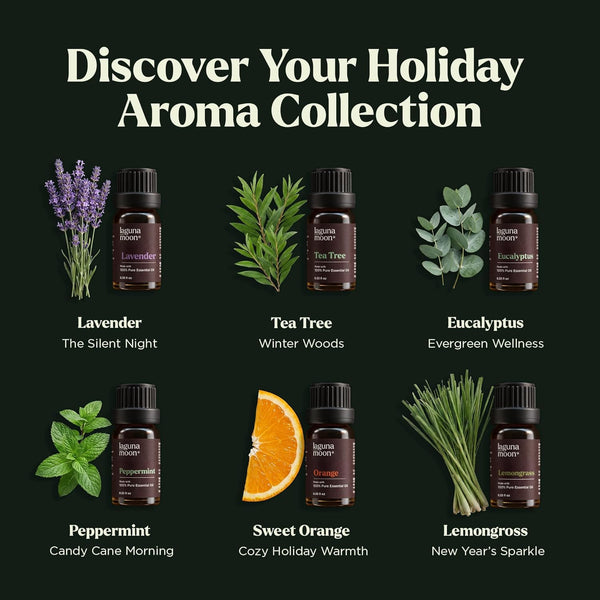 Holiday Essential Oil Kit